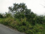 Residential lot For Sale in Jacks Hjll, Kingston / St. Andrew Jamaica | [2]