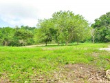 Commercial/farm land For Sale in White River, St. Ann Jamaica | [4]