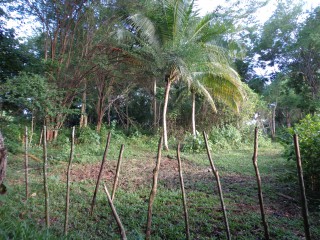 Residential lot For Sale in Orange Bay, Hanover Jamaica | [1]