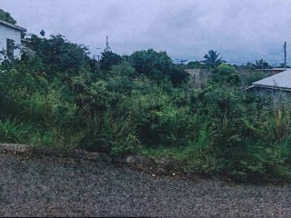 Residential lot For Sale in Freetown, Clarendon, Jamaica