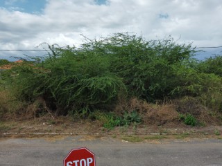 Residential lot For Sale in Aqueduct Country Club Bushy Park, St. Catherine Jamaica | [2]