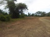 Residential lot For Sale in Seaforth, St. Thomas Jamaica | [10]