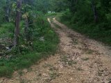 Residential lot For Sale in Balaclava, St. Elizabeth Jamaica | [8]