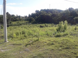 Residential lot For Sale in Longwood, St. Elizabeth Jamaica | [2]