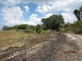 Residential lot For Sale in Malvern, St. Elizabeth Jamaica | [9]