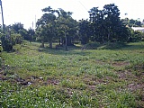 Residential lot For Sale in Brumalia, Manchester Jamaica | [3]