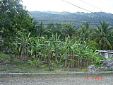 Residential lot For Sale in Ewarton, St. Catherine Jamaica | [7]