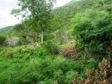 Residential lot For Sale in Alligator Pond, Manchester Jamaica | [3]