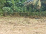 Residential lot For Sale in Clarendon, Clarendon Jamaica | [3]