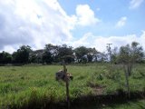 Residential lot For Sale in Spur Tree, Manchester Jamaica | [3]