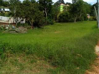 Residential lot For Sale in New Green, Manchester Jamaica | [2]