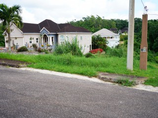 Residential lot For Sale in Mandeville, Manchester Jamaica | [6]