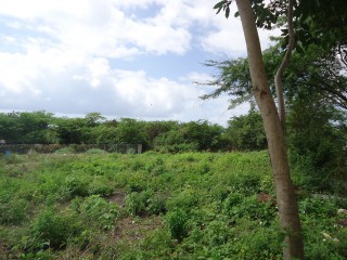 Residential lot For Sale in Pomfret, St. Thomas Jamaica | [4]