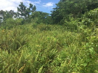 Residential lot For Sale in Port Antonio, Portland Jamaica | [12]