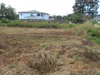 Residential lot For Sale in Mandeville, Manchester Jamaica | [4]