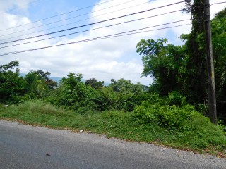  For Sale in Whitehall, St. Mary Jamaica | [6]