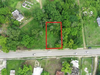 Land For Sale in Lacovia, St. Elizabeth Jamaica | [4]