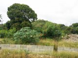 Commercial/farm land For Sale in Twickenham Park, St. Catherine Jamaica | [1]