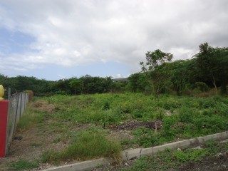 Residential lot For Sale in Pomfret, St. Thomas Jamaica | [6]