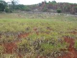 Residential lot For Sale in Malvern, St. Elizabeth Jamaica | [7]