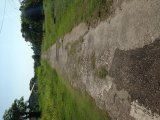 Residential lot For Sale in PetersField, Westmoreland Jamaica | [1]