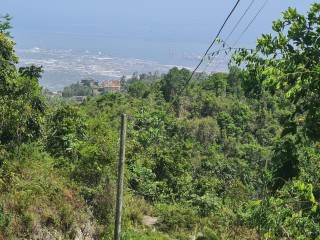 Residential lot For Sale in Red Hills, Kingston / St. Andrew Jamaica | [3]