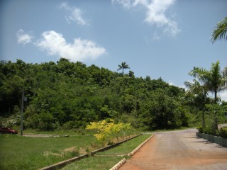 Residential lot For Sale in Albion Estates, Manchester Jamaica | [2]