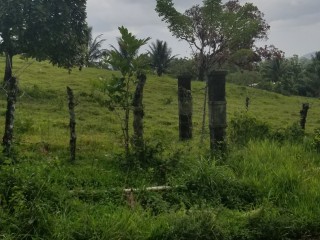 Residential lot For Sale in Seaford TownGerman Town, Westmoreland Jamaica | [6]