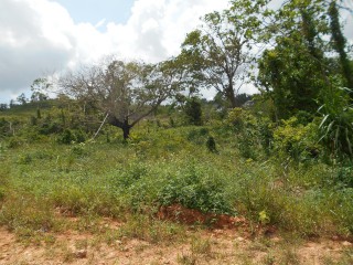 Land For Sale in Rosewell, Clarendon, Jamaica