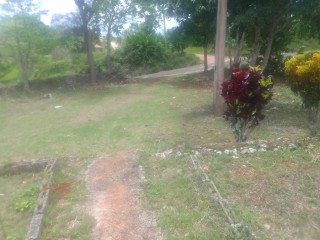 Commercial/farm land For Sale in Newport PO, Manchester Jamaica | [3]