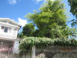 House For Sale in New Market, St. Elizabeth Jamaica | [7]