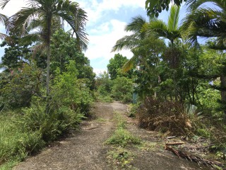 Residential lot For Sale in Sandy Bay, Hanover Jamaica | [14]