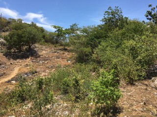 Residential lot For Sale in Off Sligoville Main Road, St. Catherine Jamaica | [10]