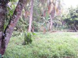 Commercial/farm land For Sale in Fontabelle, St. Mary Jamaica | [2]