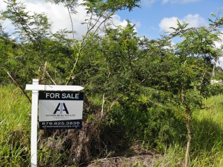 Residential lot For Sale in Mandeville, Manchester Jamaica | [7]