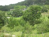 Residential lot For Sale in Anchovy, St. James Jamaica | [11]