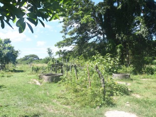 Commercial/farm land For Rent in Black River, St. Elizabeth Jamaica | [10]