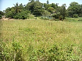 Residential lot For Sale in Albion, Manchester Jamaica | [5]