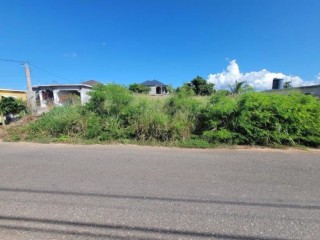 Residential lot For Sale in Longville Park Freetown, Clarendon Jamaica | [3]