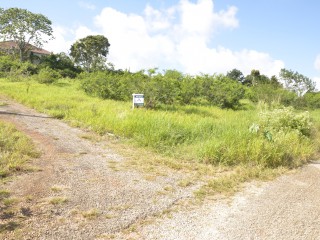 Residential lot For Sale in Mandeville, Manchester Jamaica | [12]