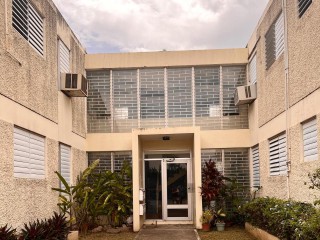 Apartment For Rent in Kingston 6, Kingston / St. Andrew Jamaica | [5]