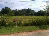 Residential lot For Sale in Spur Tree, Manchester Jamaica | [2]