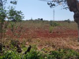 Commercial/farm land For Sale in Pedro Plains, St. Elizabeth Jamaica | [3]