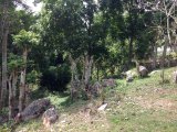 Residential lot For Sale in STONY HILL, Kingston / St. Andrew Jamaica | [7]