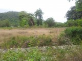 Residential lot For Sale in Seaforth, St. Thomas Jamaica | [3]