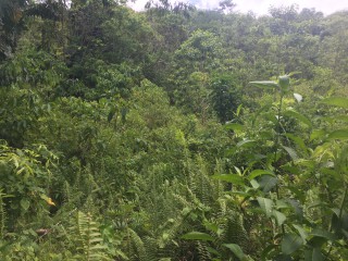 Residential lot For Sale in Port Antonio, Portland Jamaica | [7]