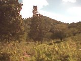 Residential lot For Sale in March Town Cave Valley, Hanover Jamaica | [1]