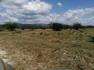 Commercial/farm land For Sale in Four Paths, Clarendon Jamaica | [4]