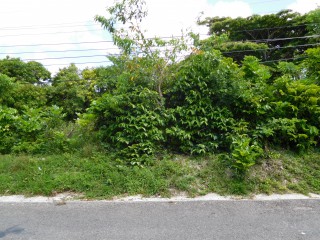  For Sale in Whitehall, St. Mary Jamaica | [5]