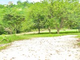 Commercial/farm land For Sale in White River, St. Ann Jamaica | [1]